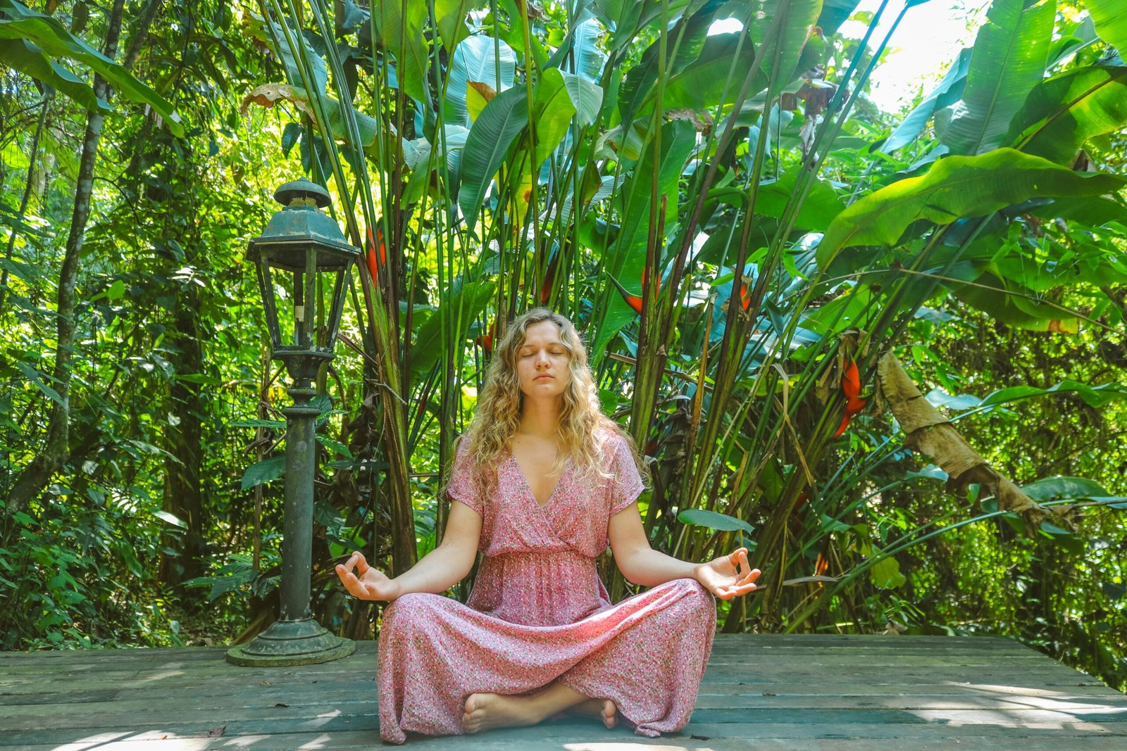 woman-in-pink-dress-sitting-on-wooden-pathway-scaled Home